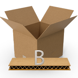 B